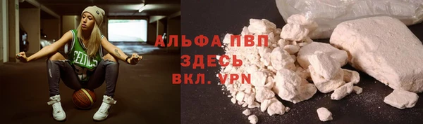крисы Киренск