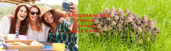 эйфоретик Киреевск