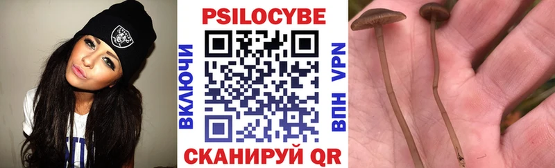 Купить закладки  Звенигород  Псилоцибиновые грибы мухоморы 